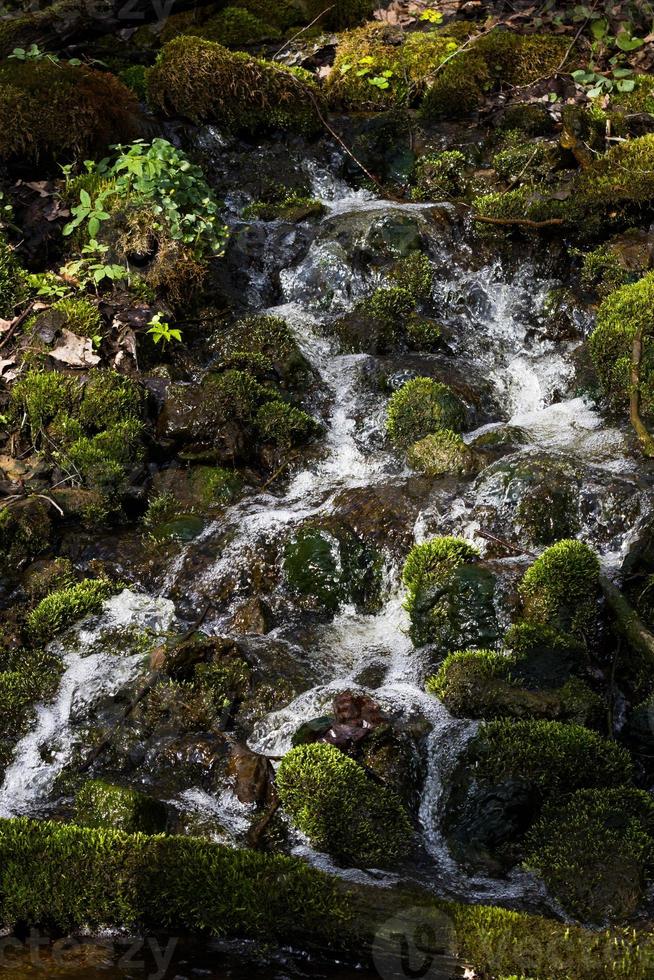 pequeno rio da floresta no início da primavera foto