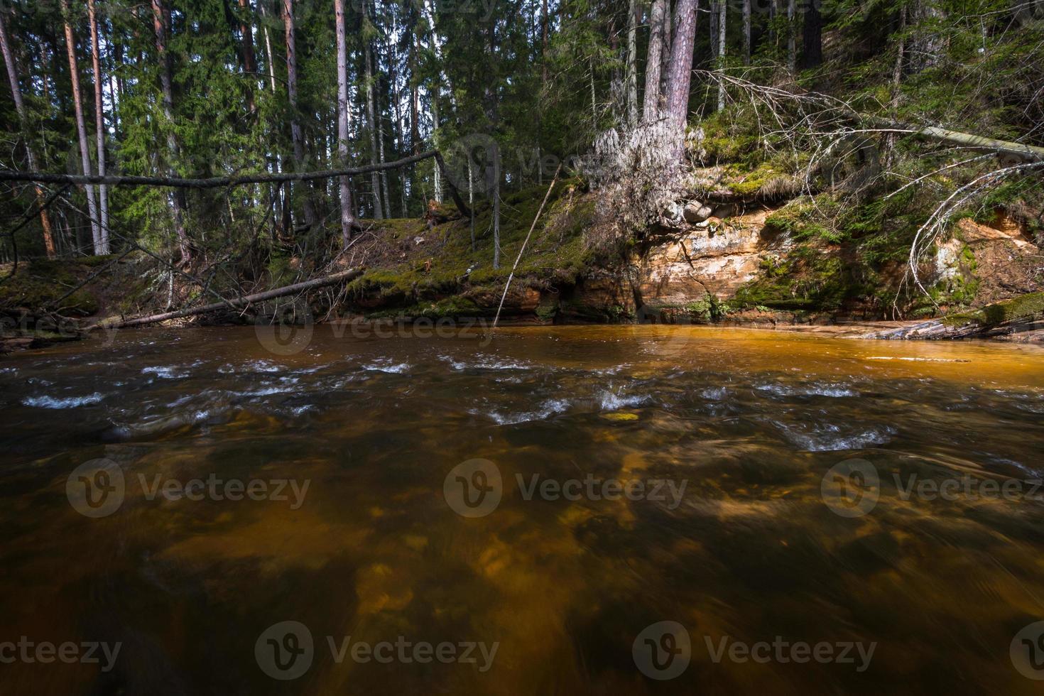 pequeno rio da floresta no início da primavera foto