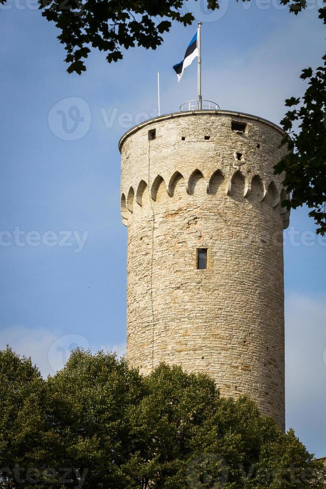 cidade velha de tallinn no verão foto