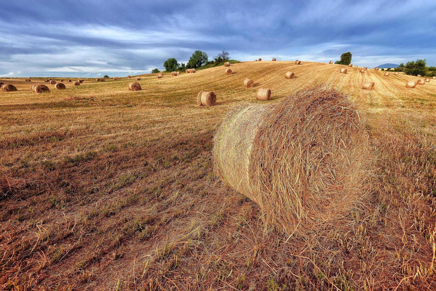 vista panorâmica de fardos de feno no campo de trigo colhido em provence, sul da frança contra o dramático céu de verão foto