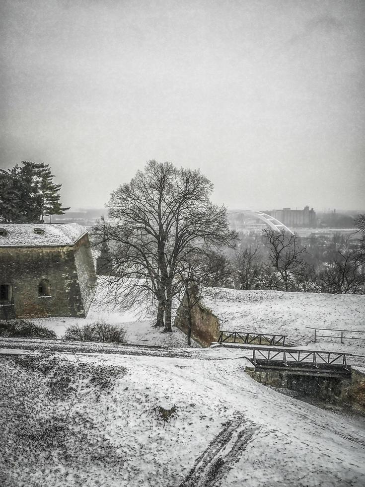 paisagem de neve na fortaleza de petrovaradin em novi sad foto