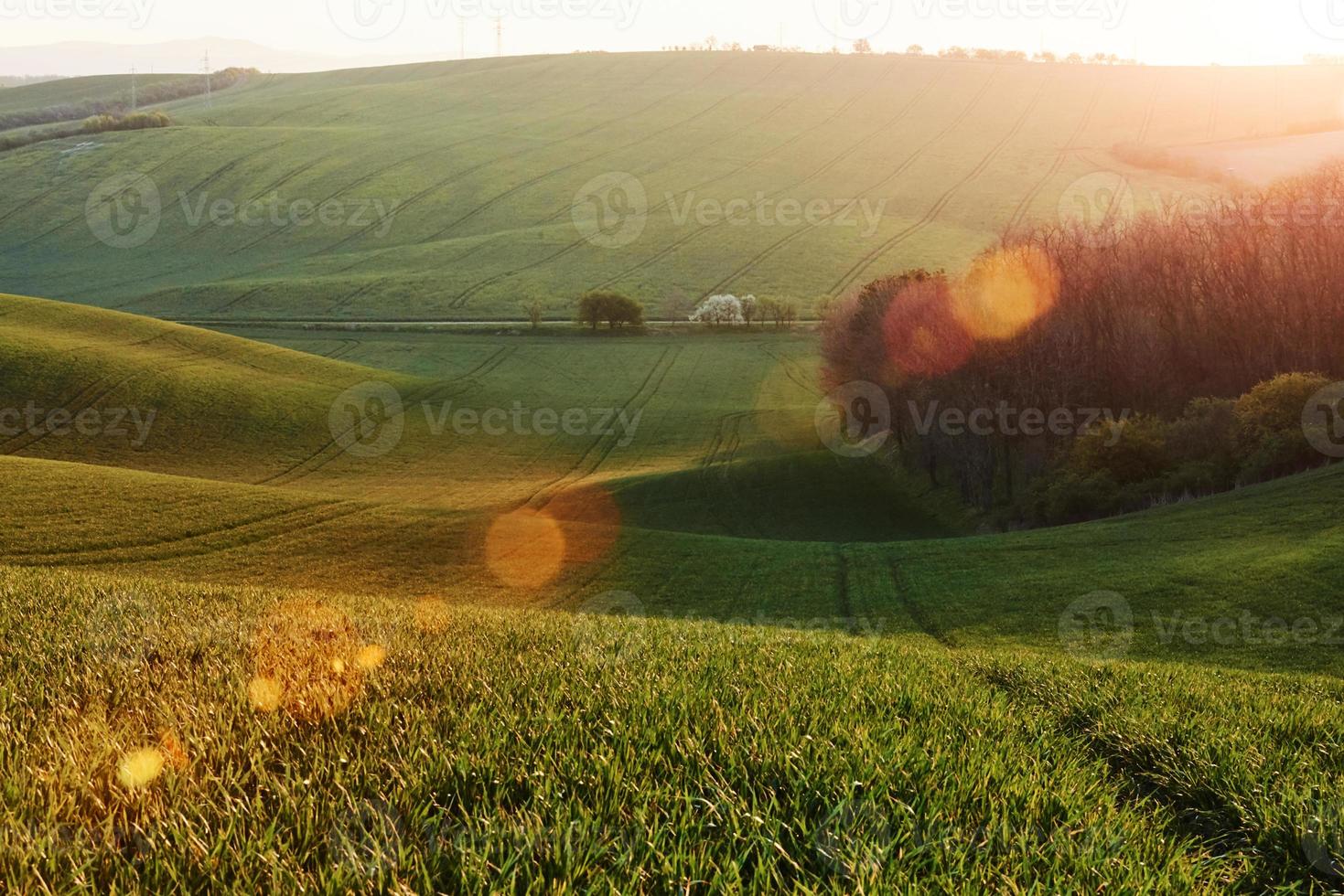 lindo prado. campos agrícolas verdes da moravia durante o dia. clima agradável foto