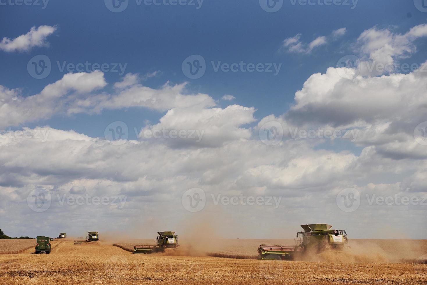 grandes colheitadeiras trabalhando no campo agrícola no verão foto
