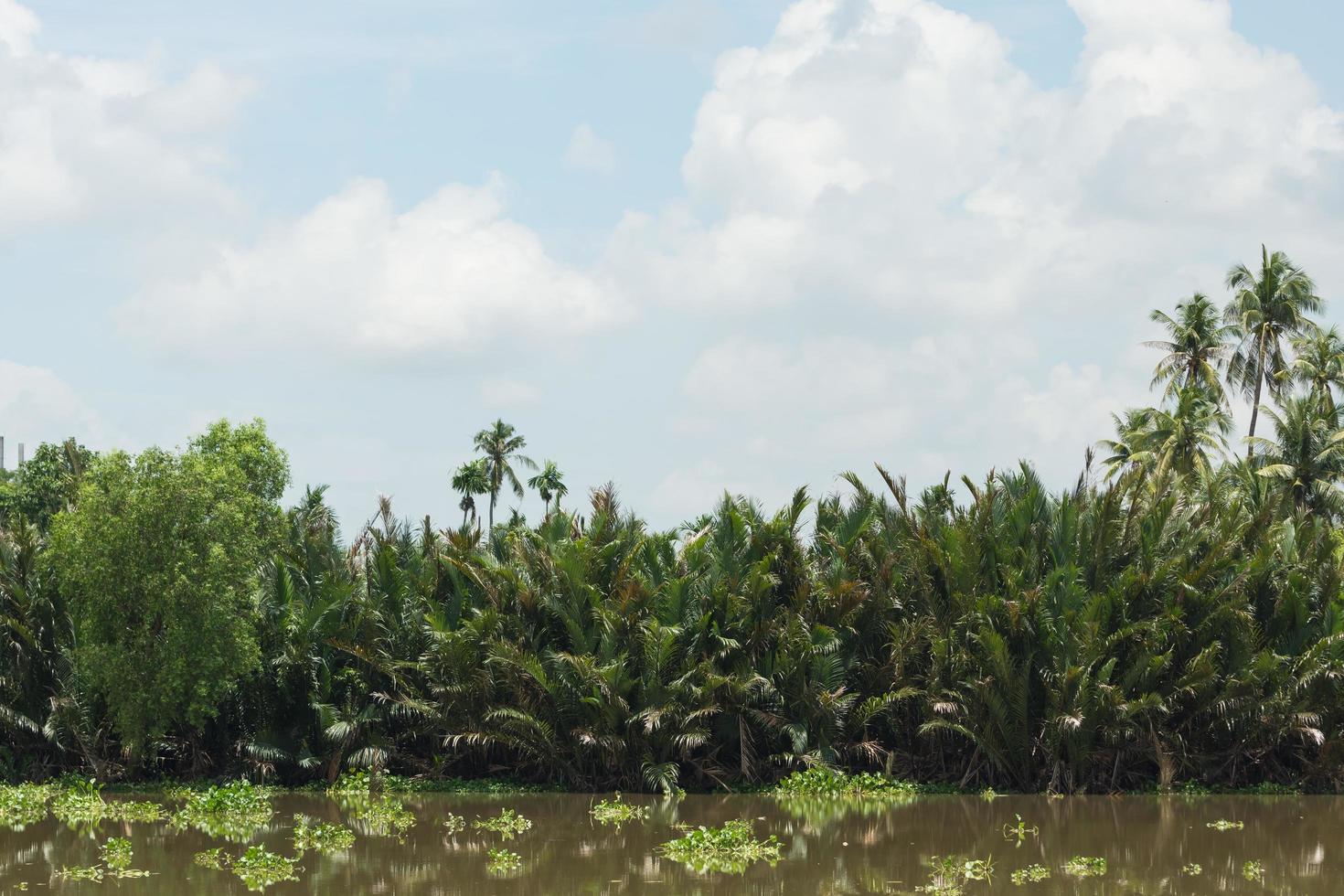 o rio Bang Pakong na Tailândia foto