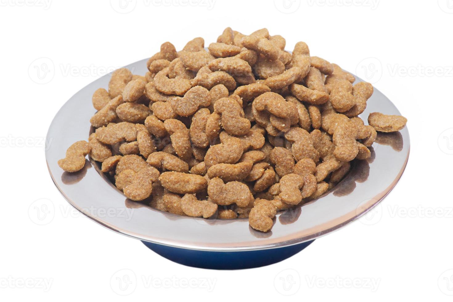 Alimento holístico balanceado sem grãos para cães. ração seca em uma tigela de metal para animais. foto