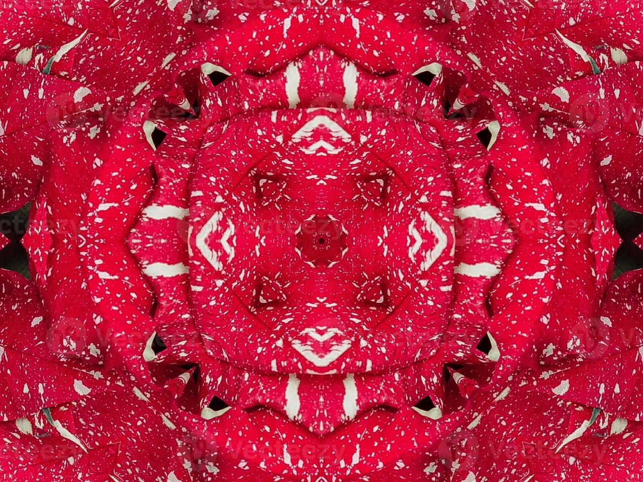 fundo de caleidoscópio floral vermelho abstrato padrão único e simétrico para vibrações de natal foto