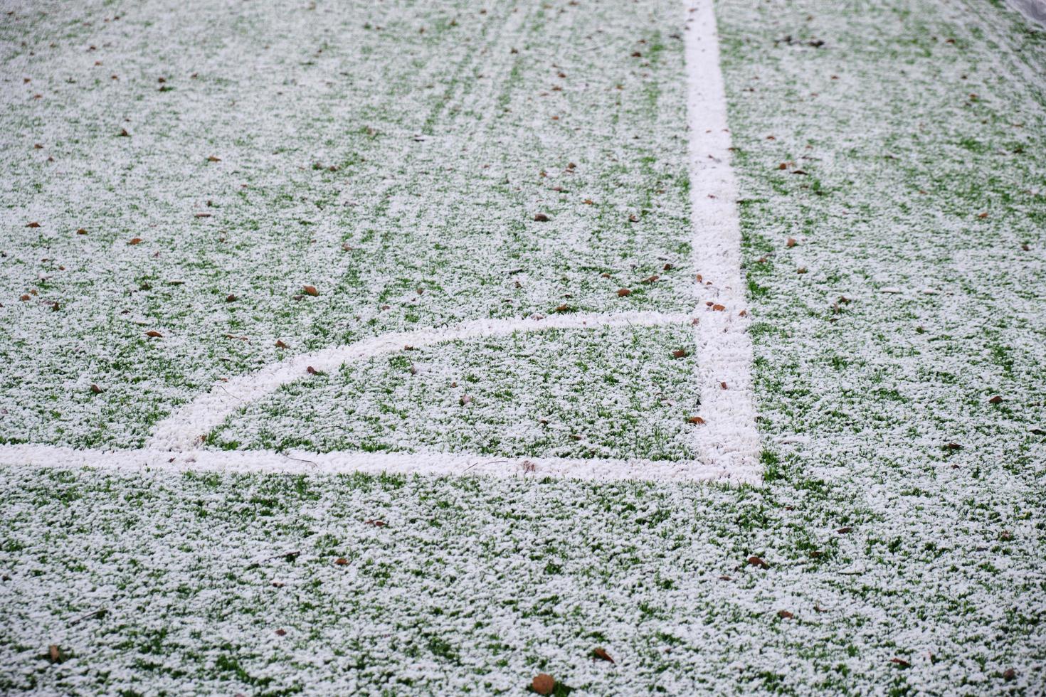 campo de futebol, gramado sob neve, primeira neve na grama, marcações de campo de futebol foto