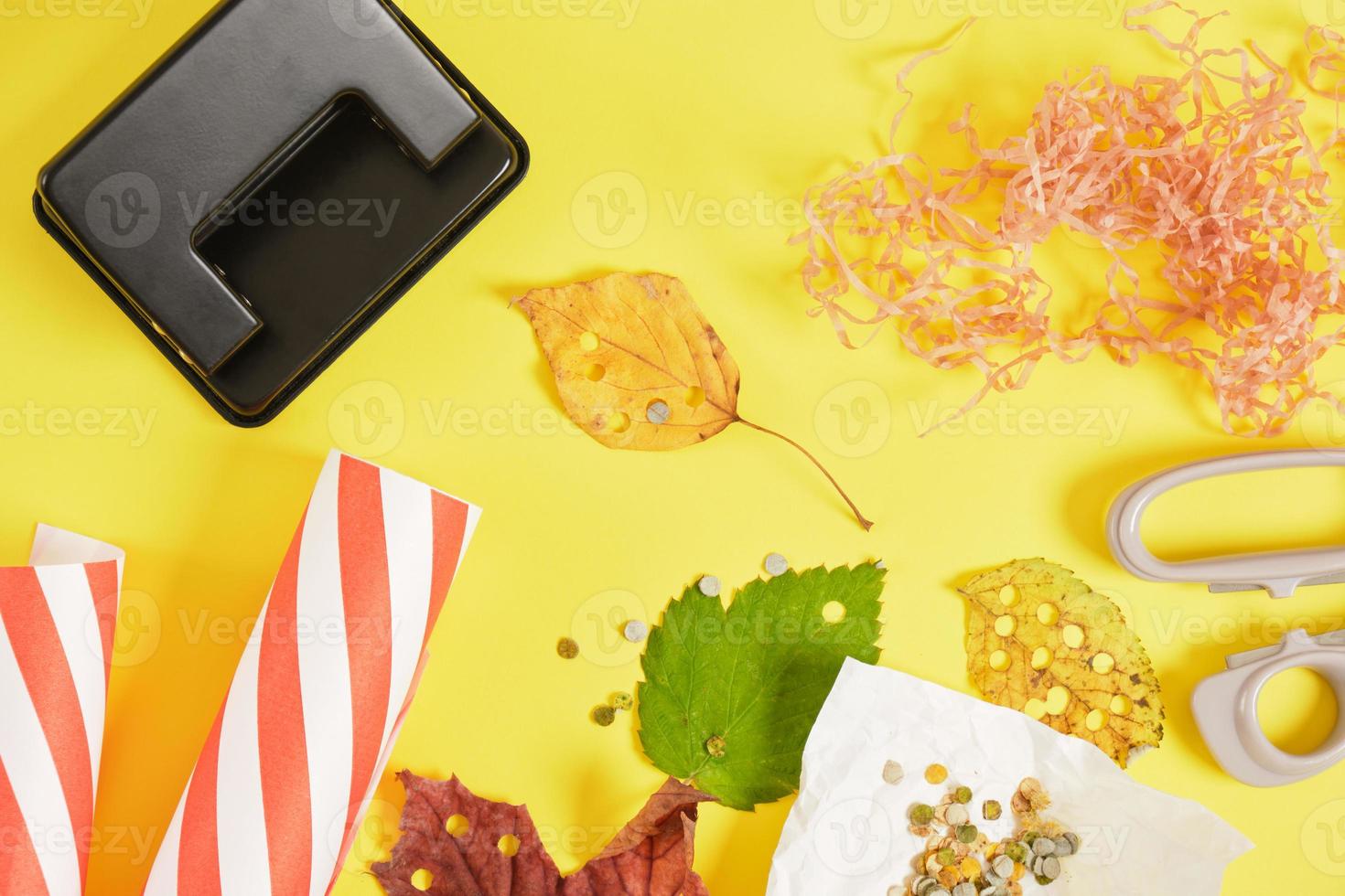 confetes de materiais naturais, estilo de vida sem desperdício, confetes de folhas de outono ecologicamente corretos com um furador foto