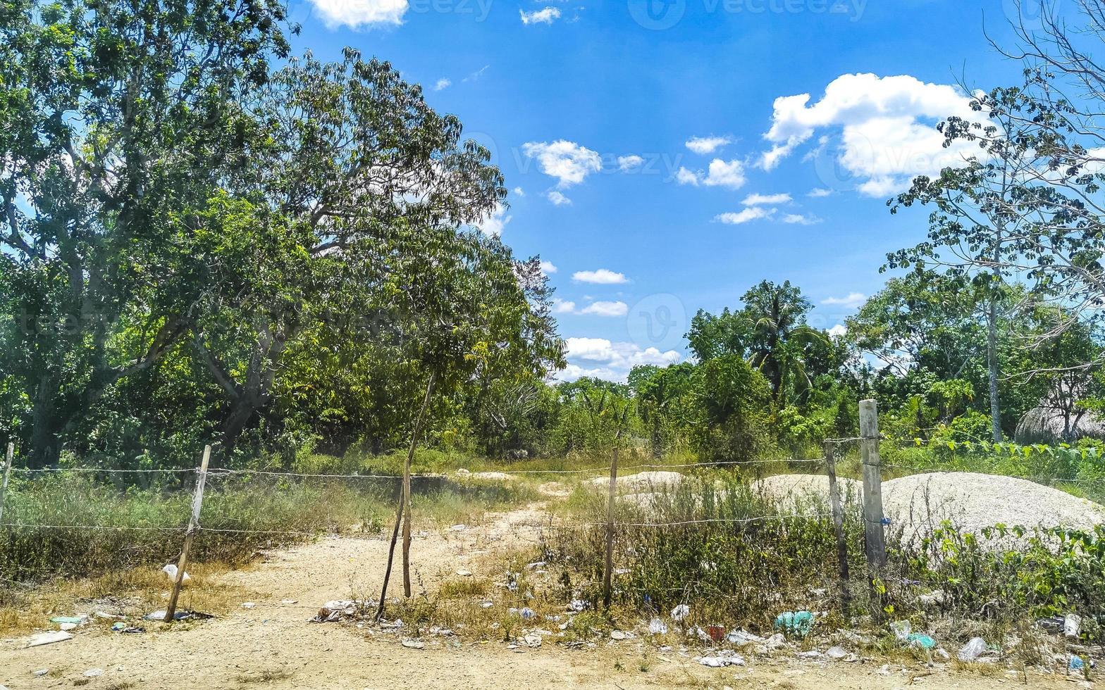 floresta da selva tropical com estrada através da vila kantunilkin méxico. foto