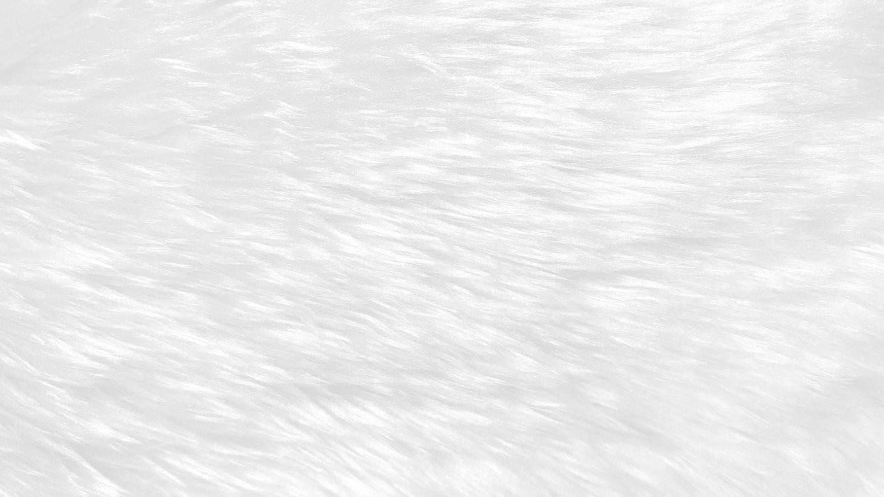 fundo de textura de lã limpa branca. lã de ovelha natural leve. algodão sem costura branco. textura de pele fofa para designers. tapete de lã branca de fragmento de close-up. foto