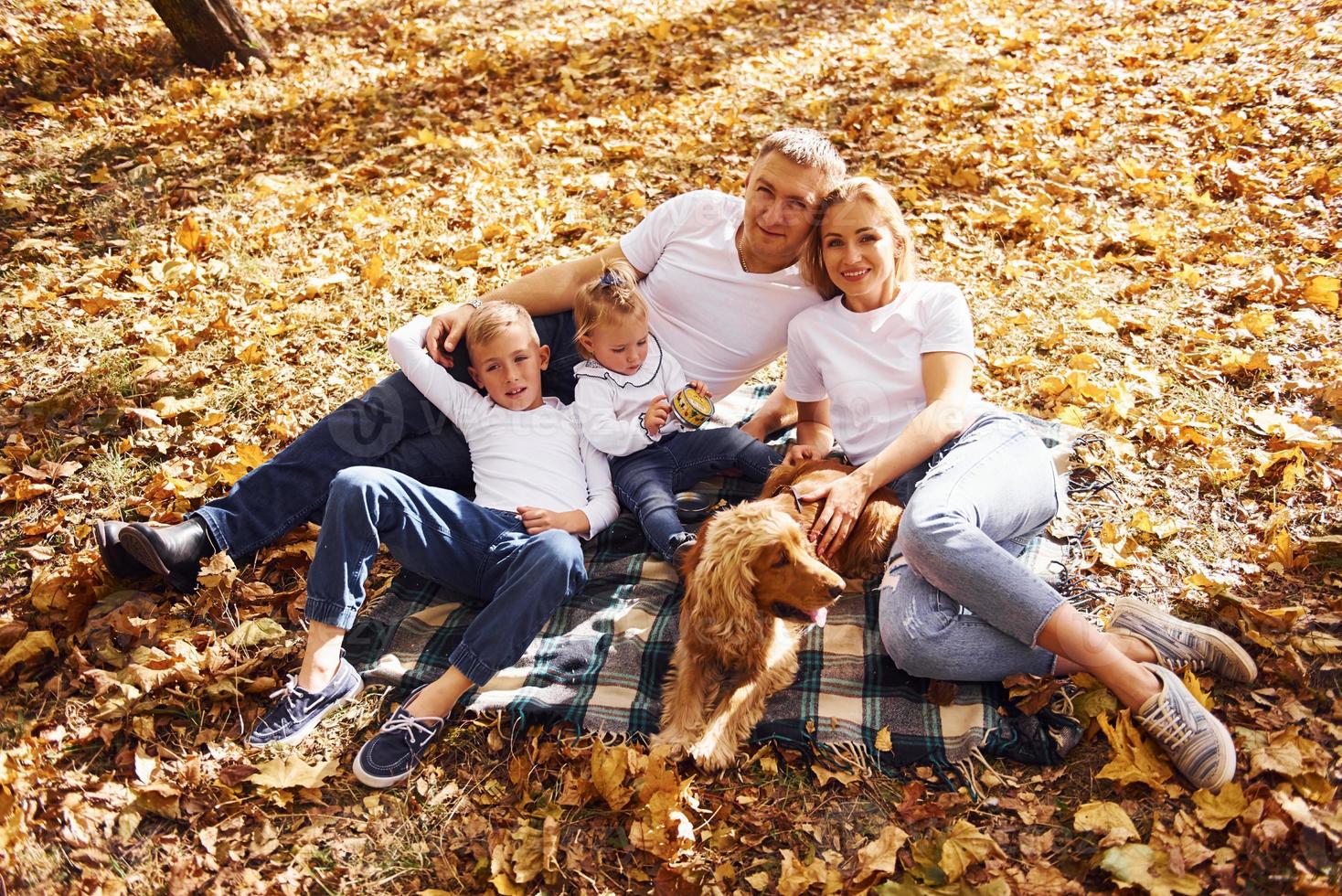 vista superior da jovem família alegre que descansa em um parque de outono juntos foto
