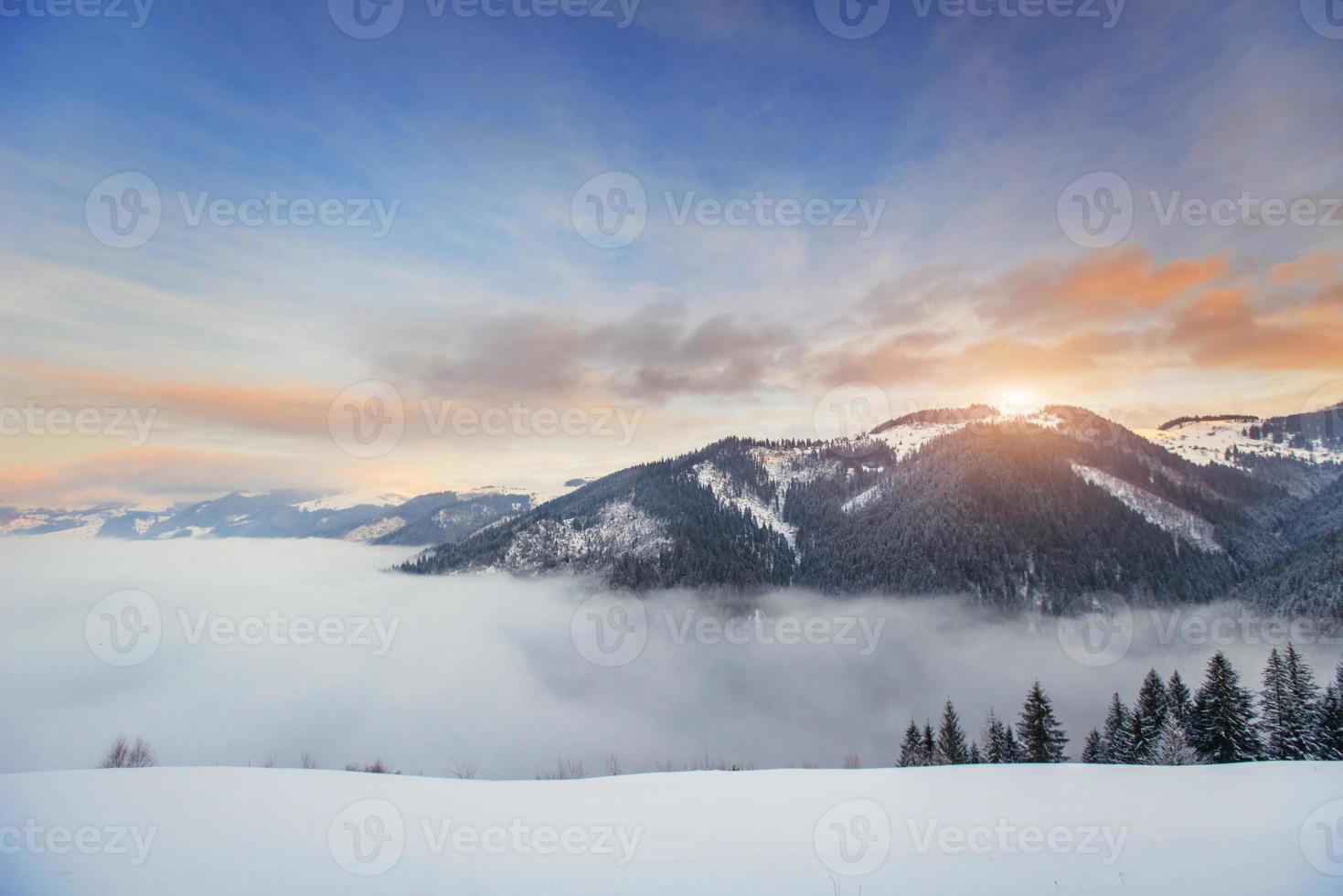 bela paisagem de inverno foto