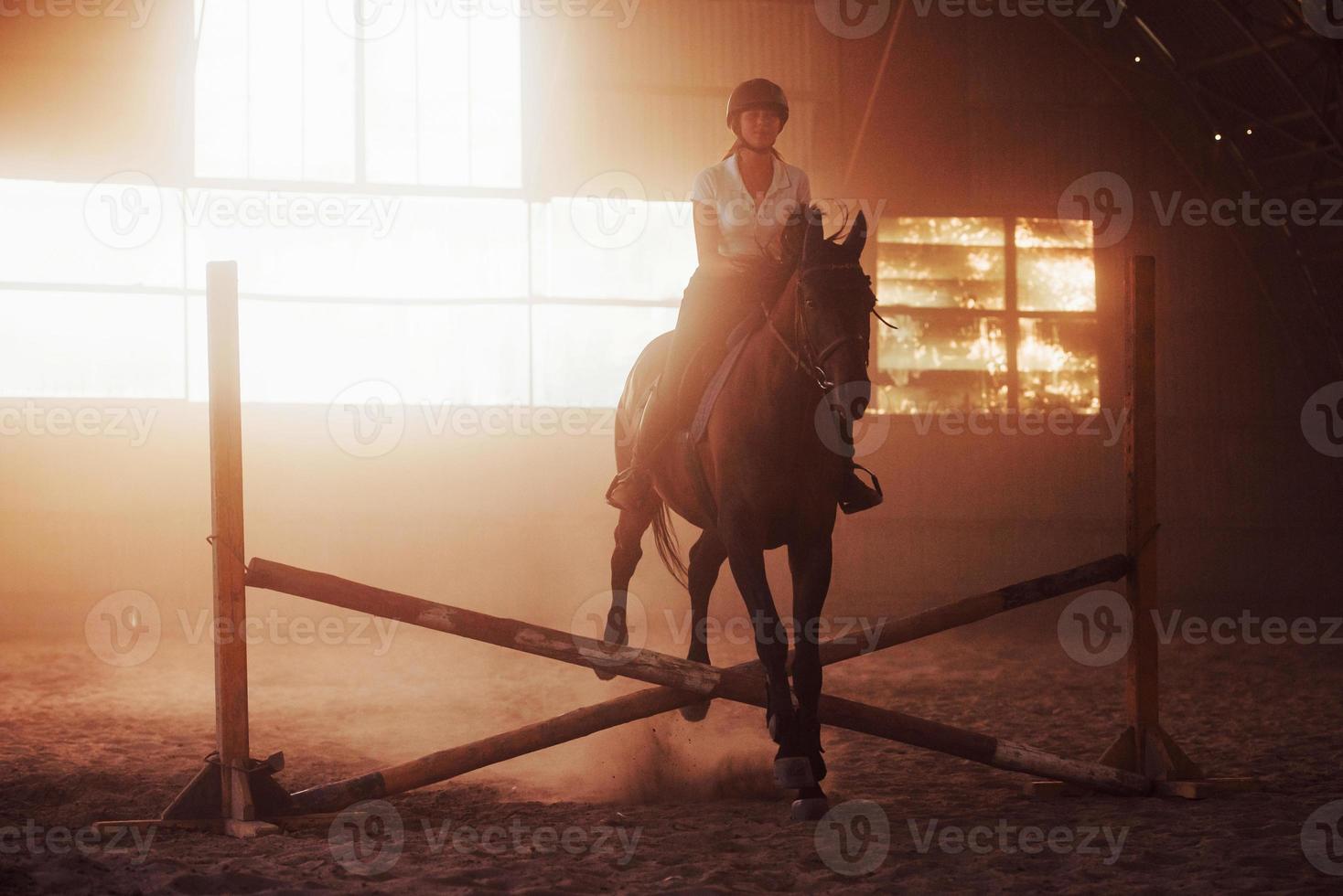 imagem majestosa da silhueta do cavalo com o cavaleiro no fundo por do sol. a garota jockey nas costas de um garanhão cavalga em um hangar em uma fazenda foto