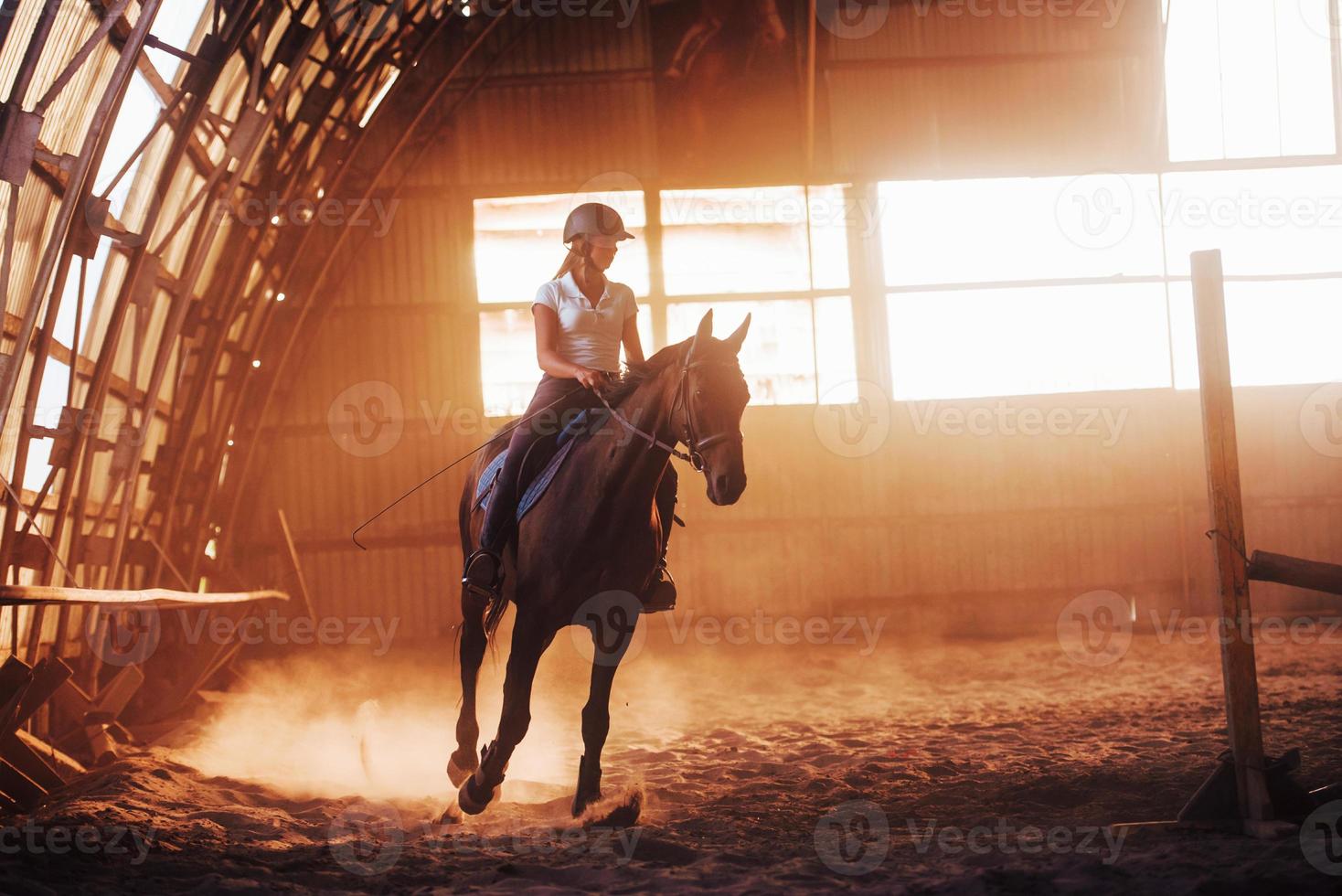 imagem majestosa da silhueta do cavalo com o cavaleiro no fundo por do sol. a garota jockey nas costas de um garanhão cavalga em um hangar em uma fazenda foto