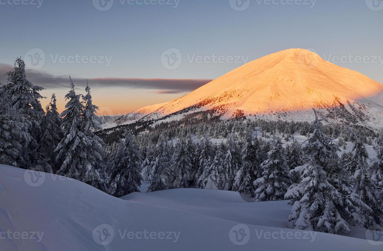 majestosa montanha petros iluminada pela luz do sol. paisagem mágica do inverno com árvores cobertas de neve durante o dia foto