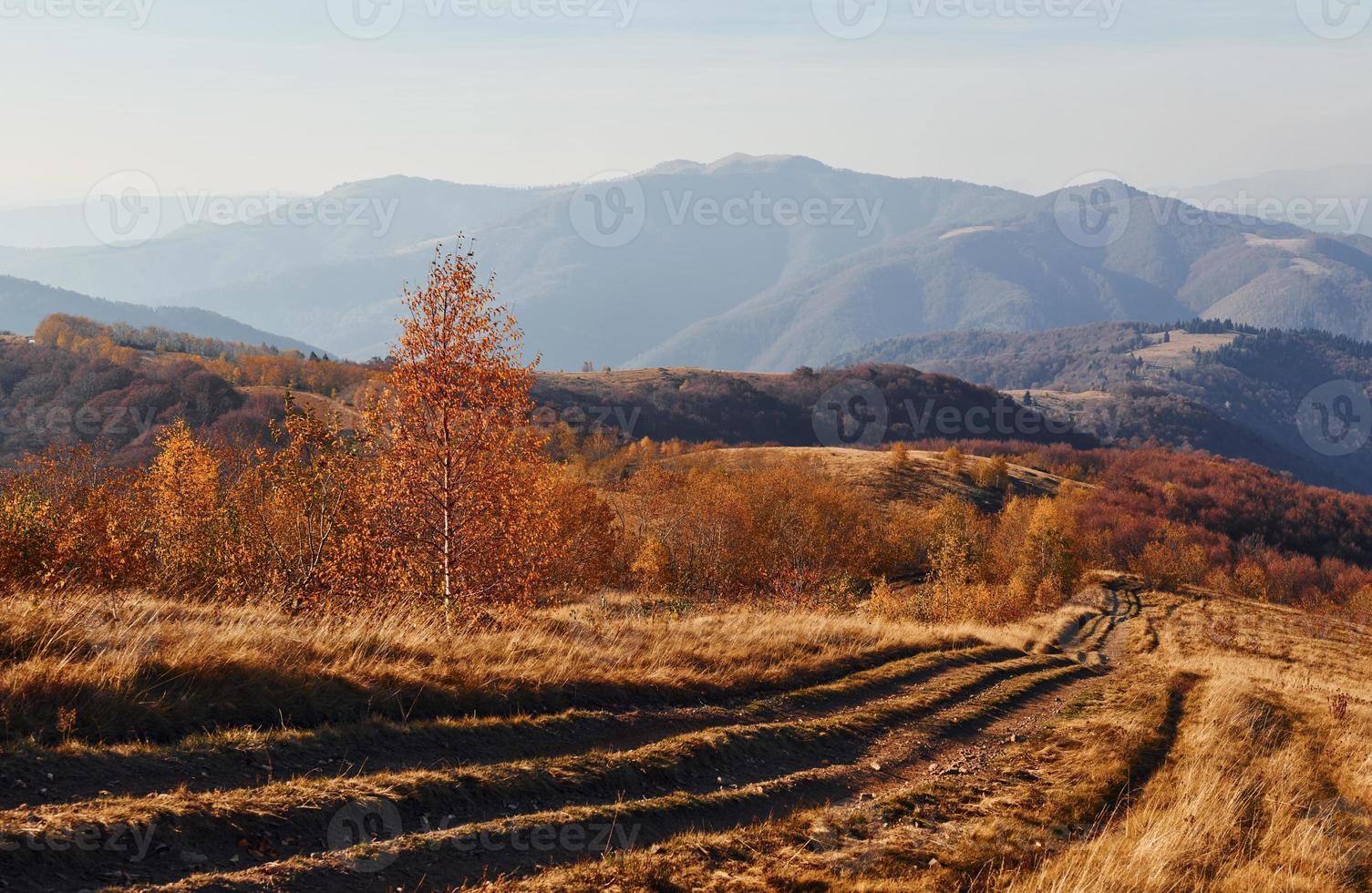 majestosa paisagem de árvores de outono e montanhas no horizonte foto