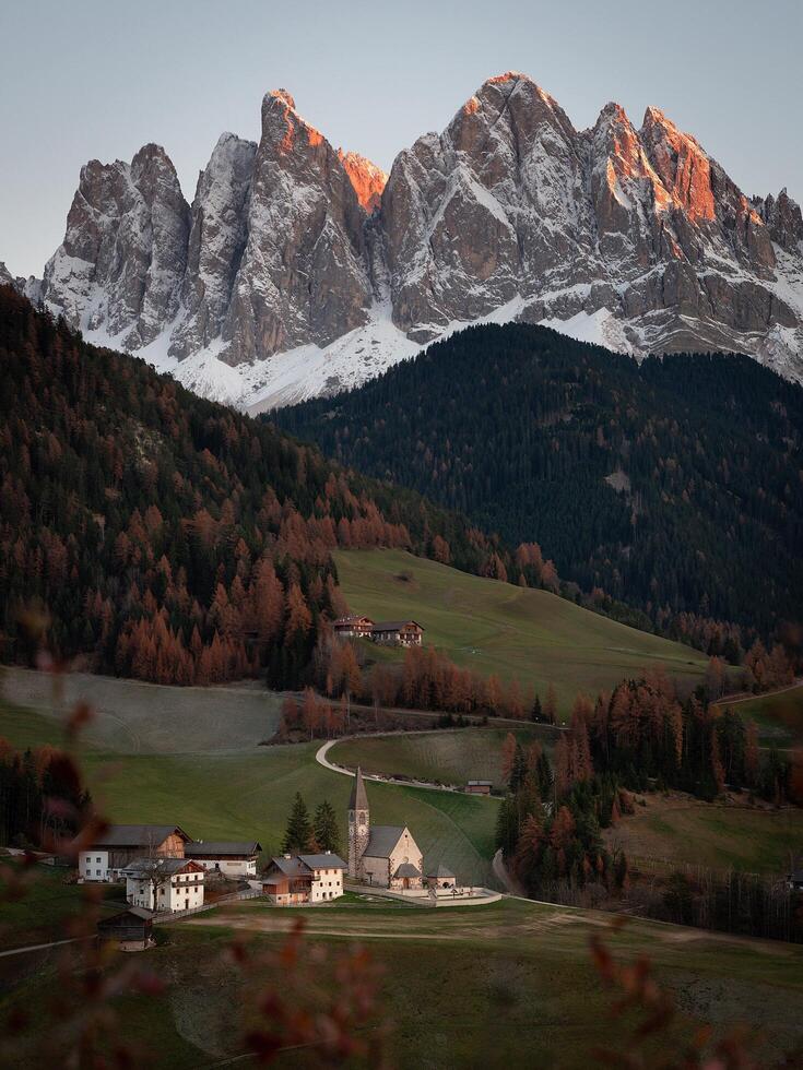 viajante turista fotógrafo em pé no topo verde na montanha, segurando na câmera fotográfica digital de mãos. alpinista tirando fotografia, garota aprecia a paisagem panorâmica da natureza em viagem foto