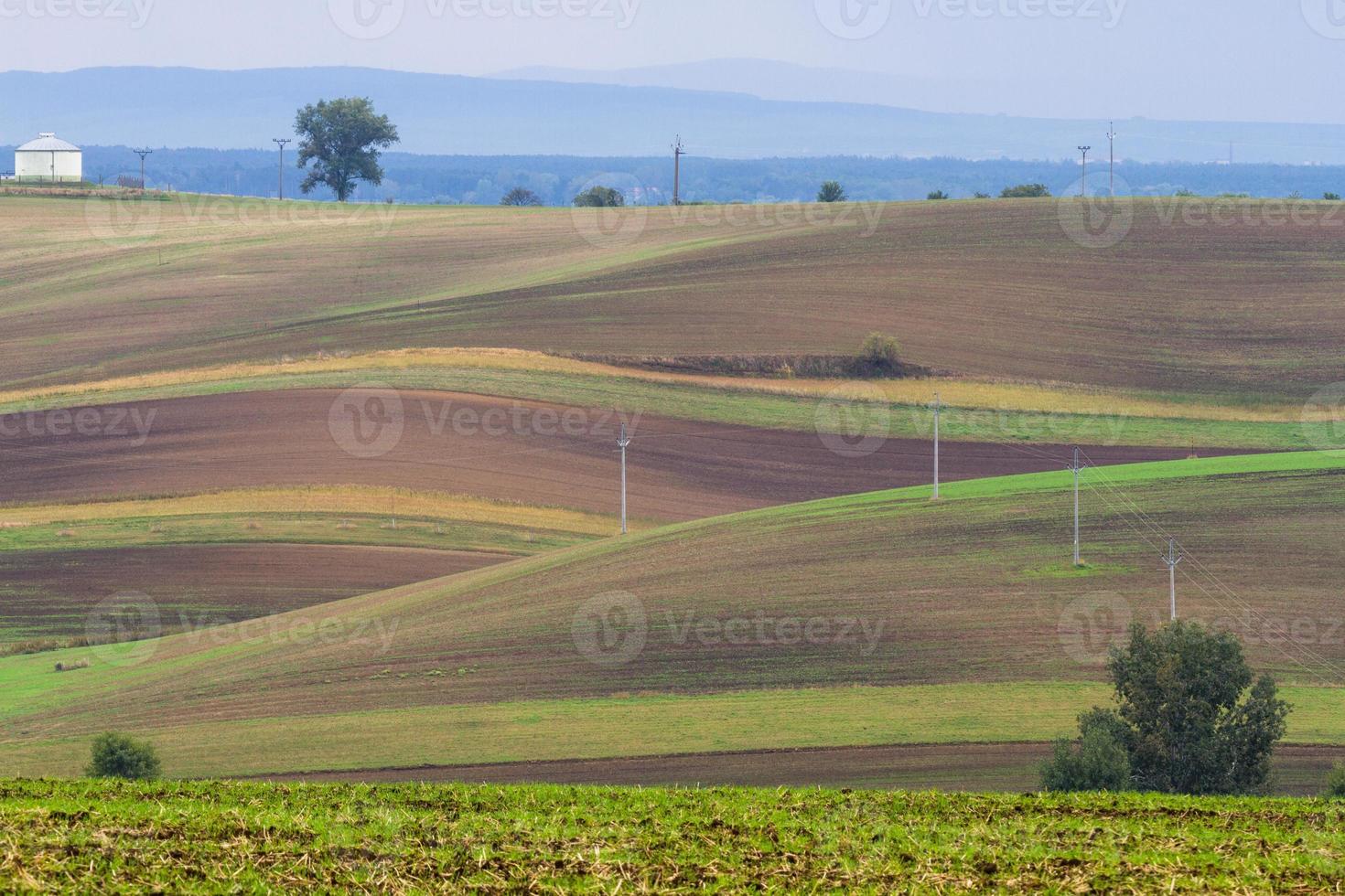 paisagem de outono em campos da morávia foto