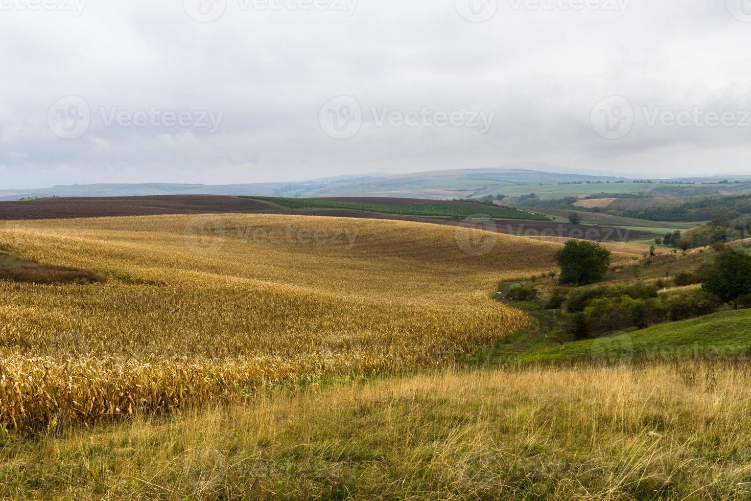 paisagem de outono em campos da morávia foto