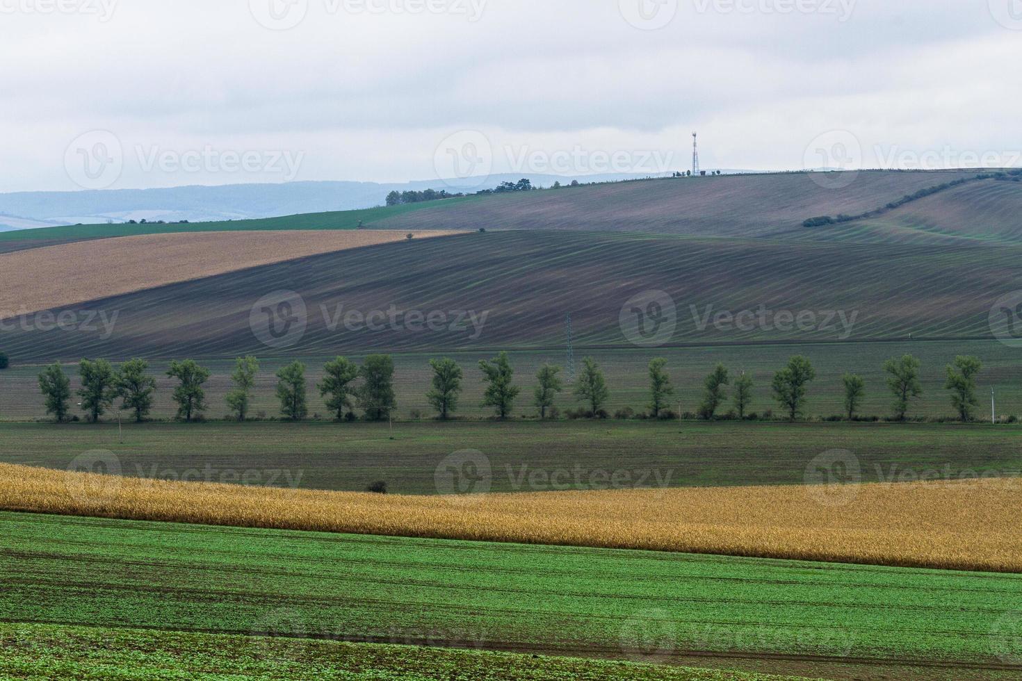 paisagem de outono em campos da morávia foto