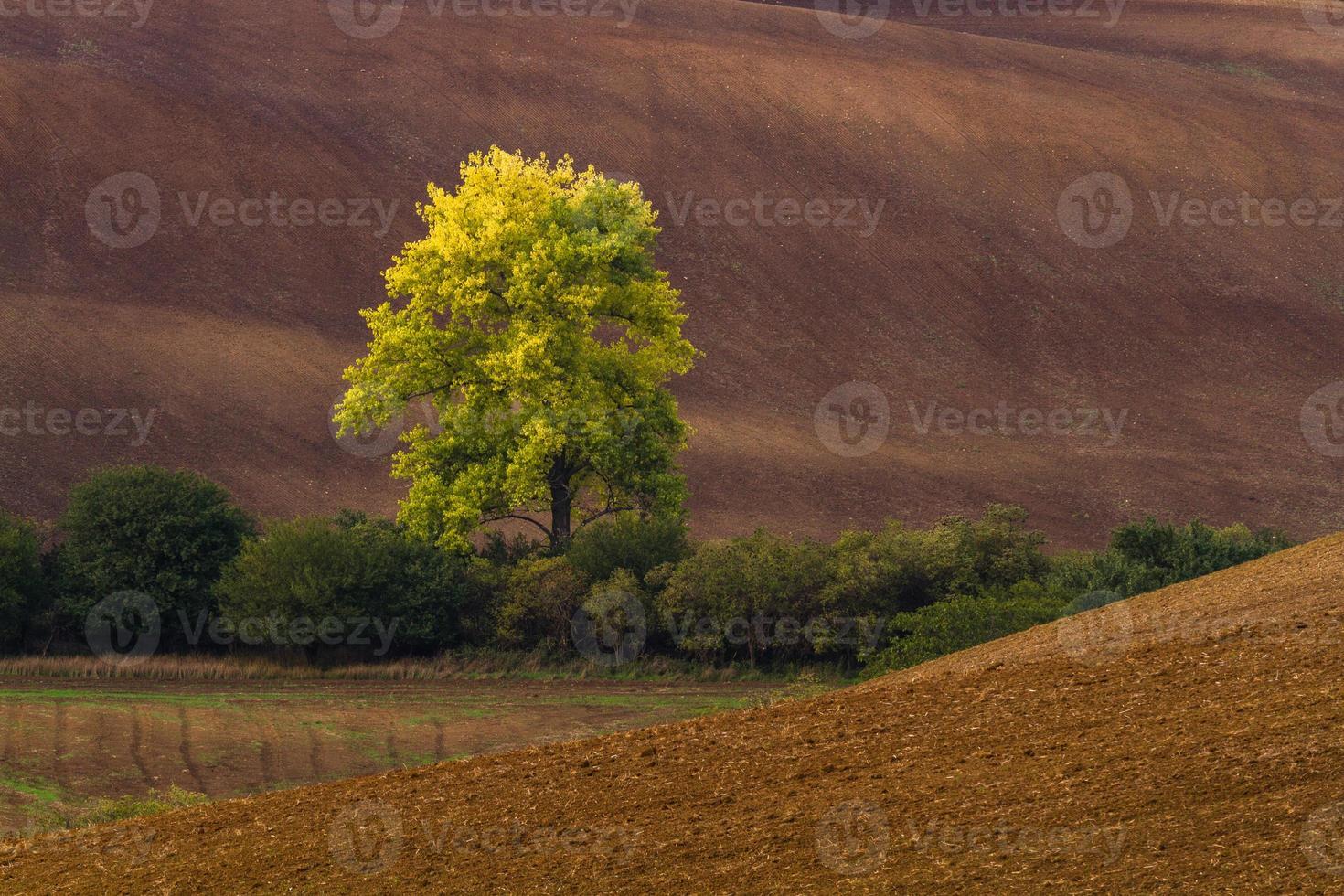 paisagem de outono em campos da morávia foto