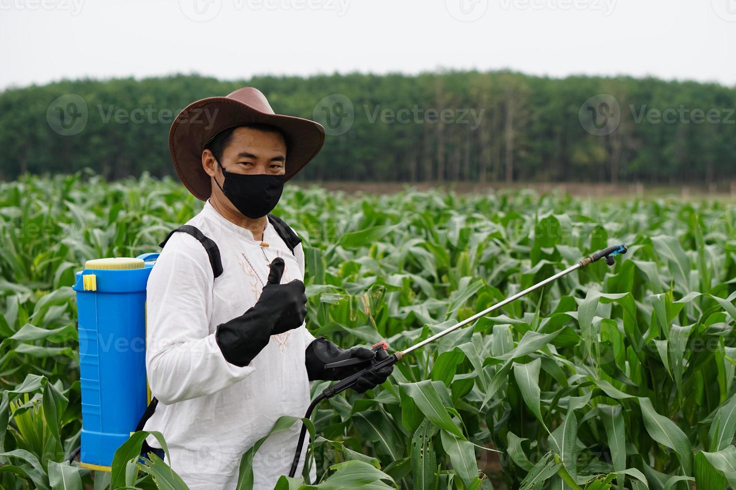 jardineiro asiático usa máscara facial preta e luvas pretas, carrega pulverizador de pesticida nas costas e levanta o polegar para mostrar sua satisfação no jardim de milho. conceito usando produtos químicos na agricultura. foto