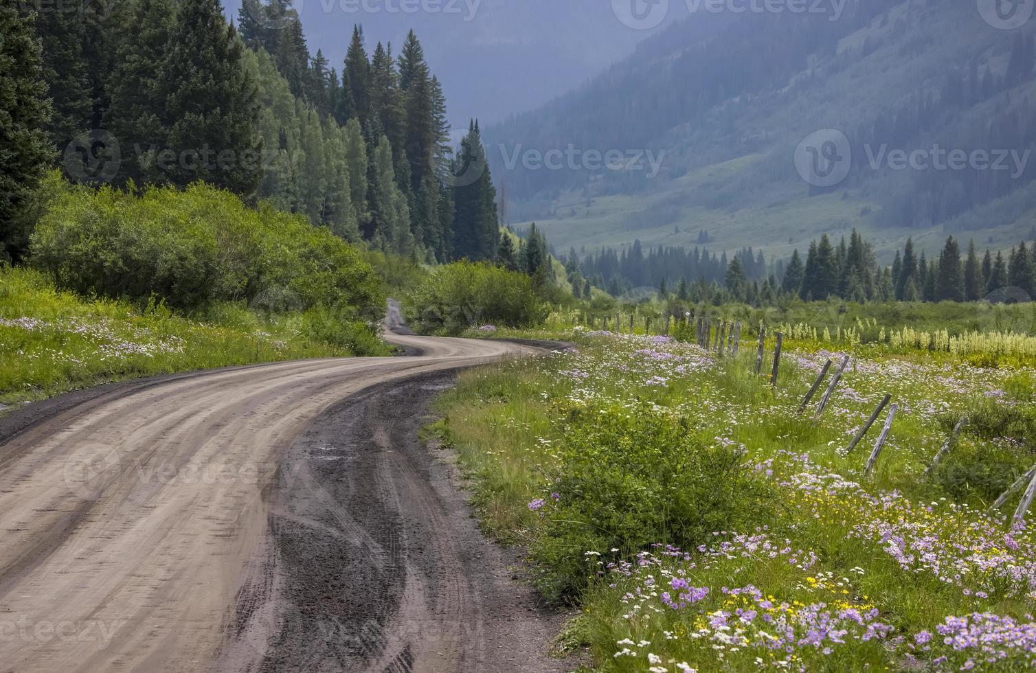 estrada secundária cênica 734 através de prados de flores silvestres nas montanhas rochosas do colorado, perto do monte com crista foto