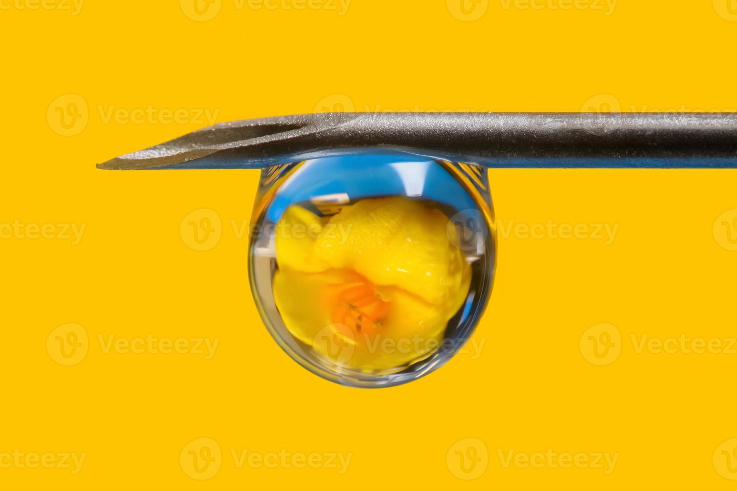 close-up tiro de seringa com gota mostrando reflexo de flor foto