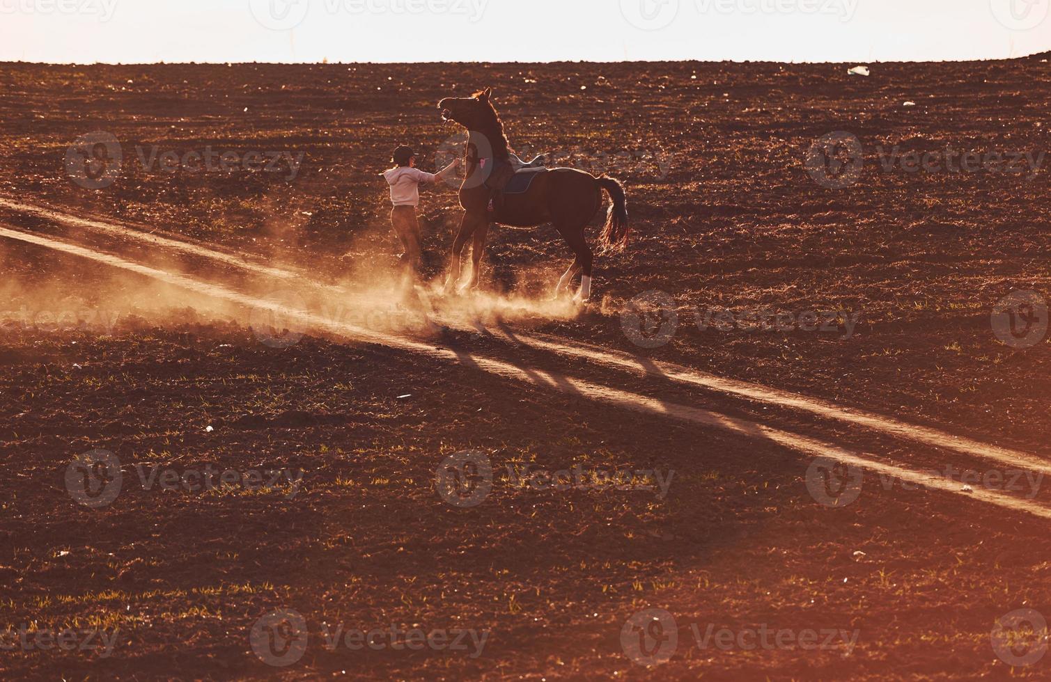 jovem de chapéu protetor montando seu cavalo no campo agrícola durante o dia ensolarado foto