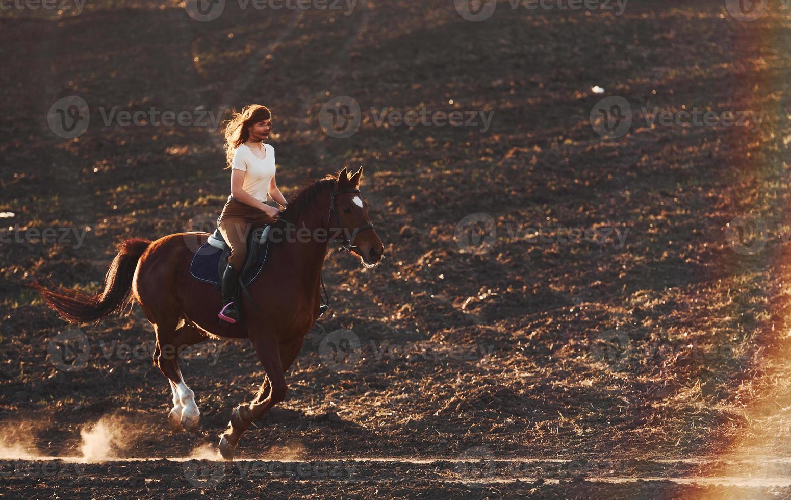 jovem de chapéu protetor montando seu cavalo no campo agrícola durante o dia ensolarado foto
