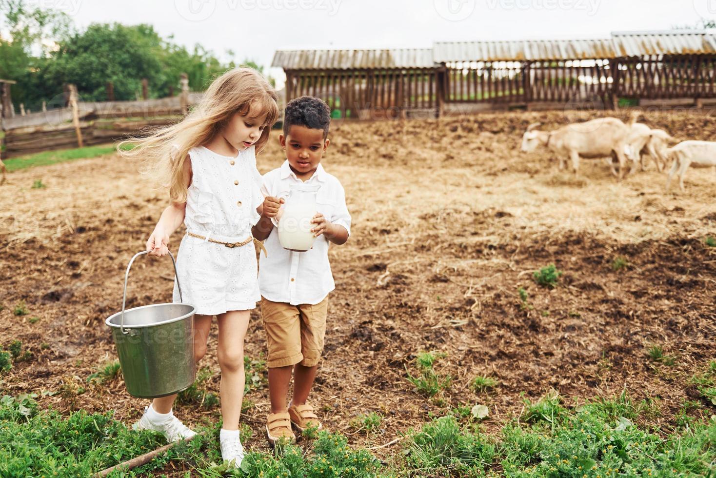 segurando o leite. menino afro-americano bonitinho com garota europeia está na fazenda foto