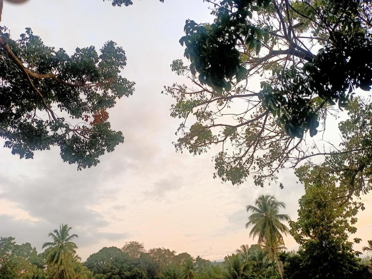 belas paisagens naturais no céu azul, nuvens brancas e muitas árvores verdes ao seu redor foto