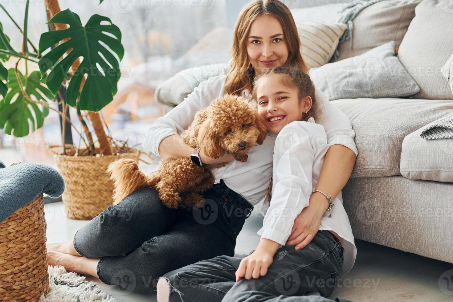 mãe com a filha brincando com cachorro. cachorrinho poodle fofo está dentro de casa na moderna sala doméstica foto