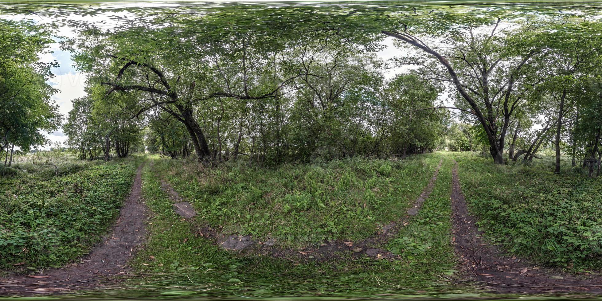 visão panorâmica hdri 360 esférica completa e sem costura no caminho de caminhada para pedestres e ciclistas entre os arbustos da floresta em projeção equiretangular, conteúdo de realidade virtual vr ar pronto foto