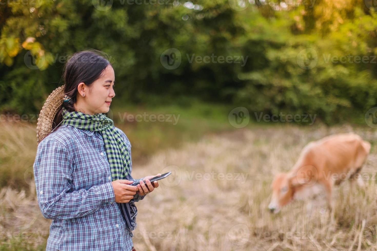 agricultora usando tecnologia móvel no campo de arroz foto