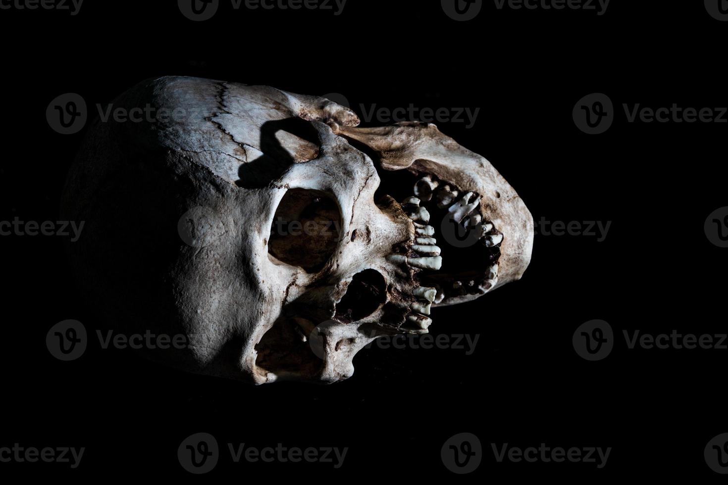 cabeça de crânio de esqueleto humano isolada em preto foto