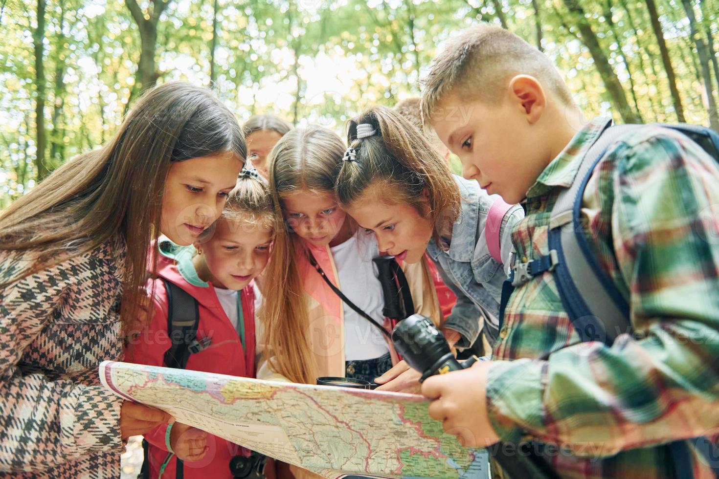 usando mapa. crianças na floresta verde durante o dia de verão juntos foto