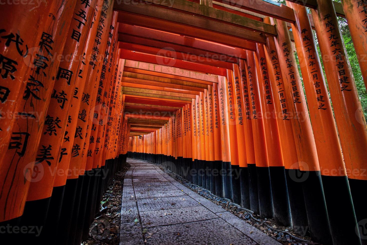 portões laranja no santuário fushima-inari taisha em kyoto, japão foto