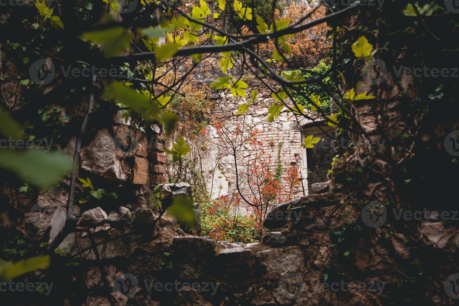 vistas de kotor da escada de kotor em montenegro foto