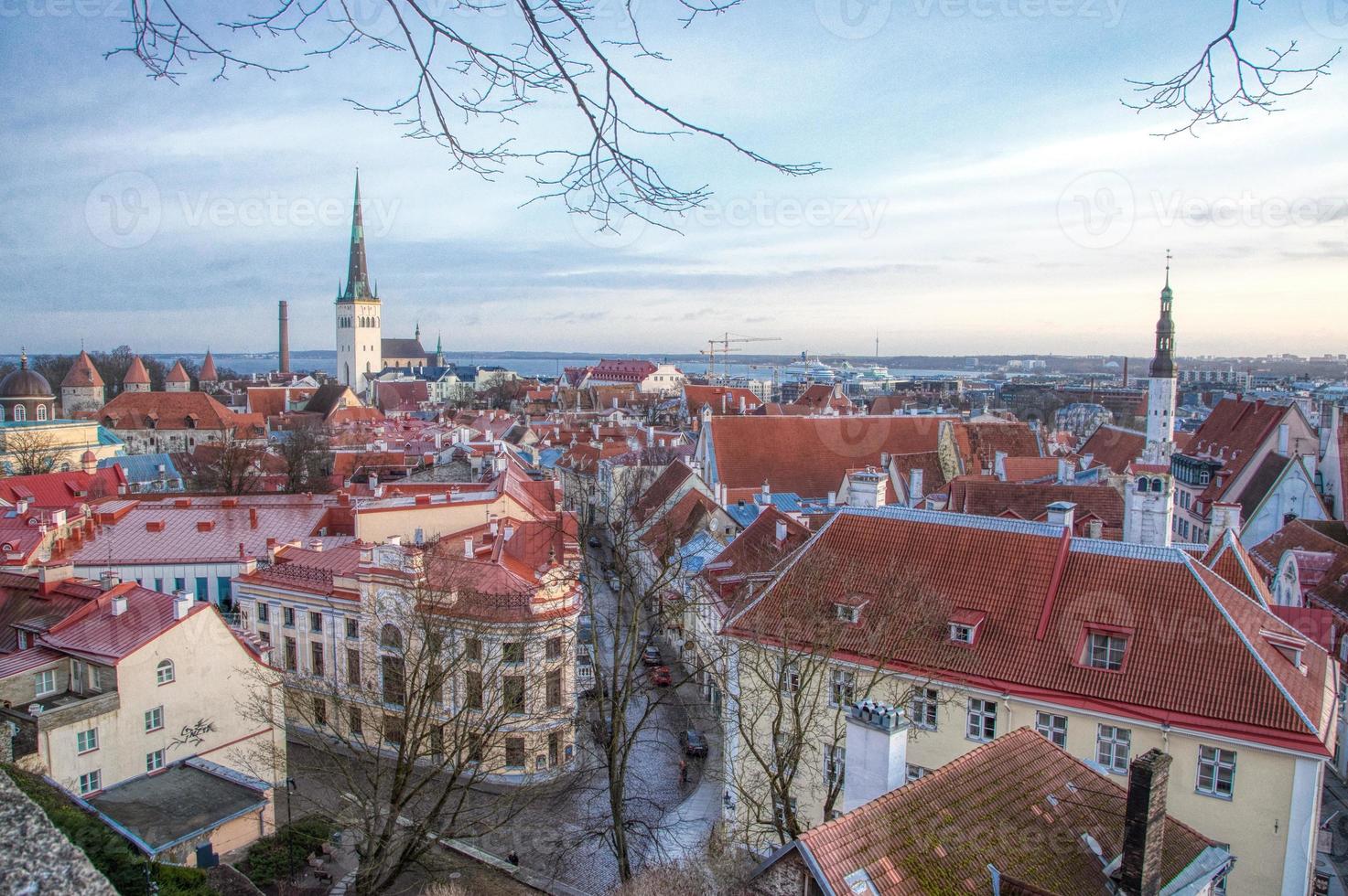 vista da cidade velha de tallinn da plataforma de observação de kohtuotsa foto