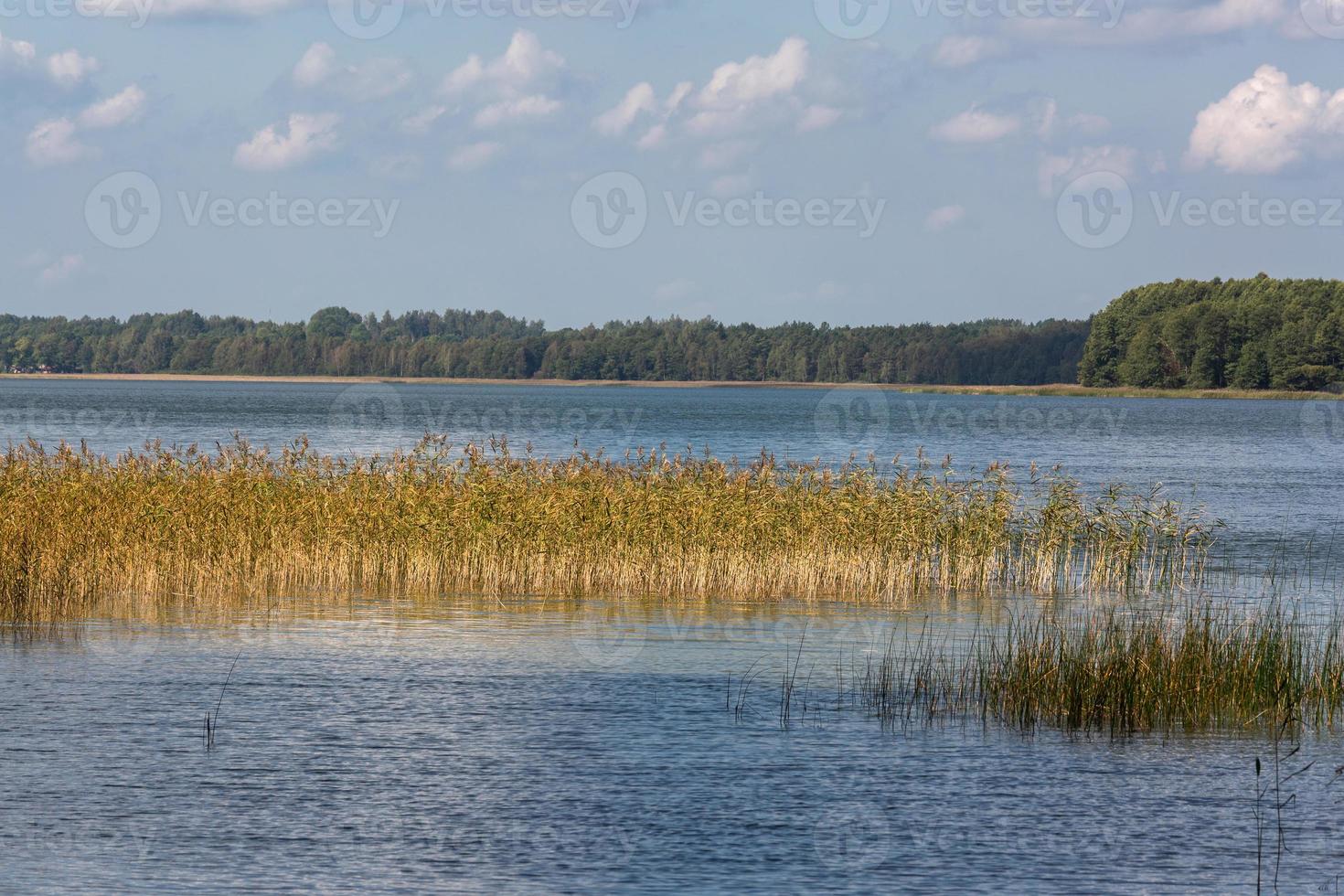 paisagens de verão à beira do lago na lituânia foto