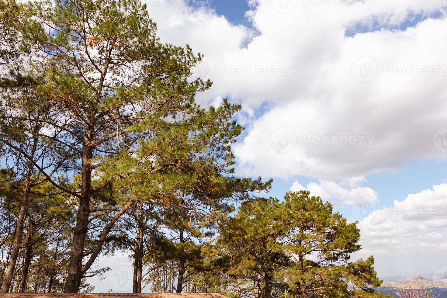 o cenário na paisagem de outono das terras altas com vista para o campo com céu azul, o conceito de turismo de relaxamento natural. foto