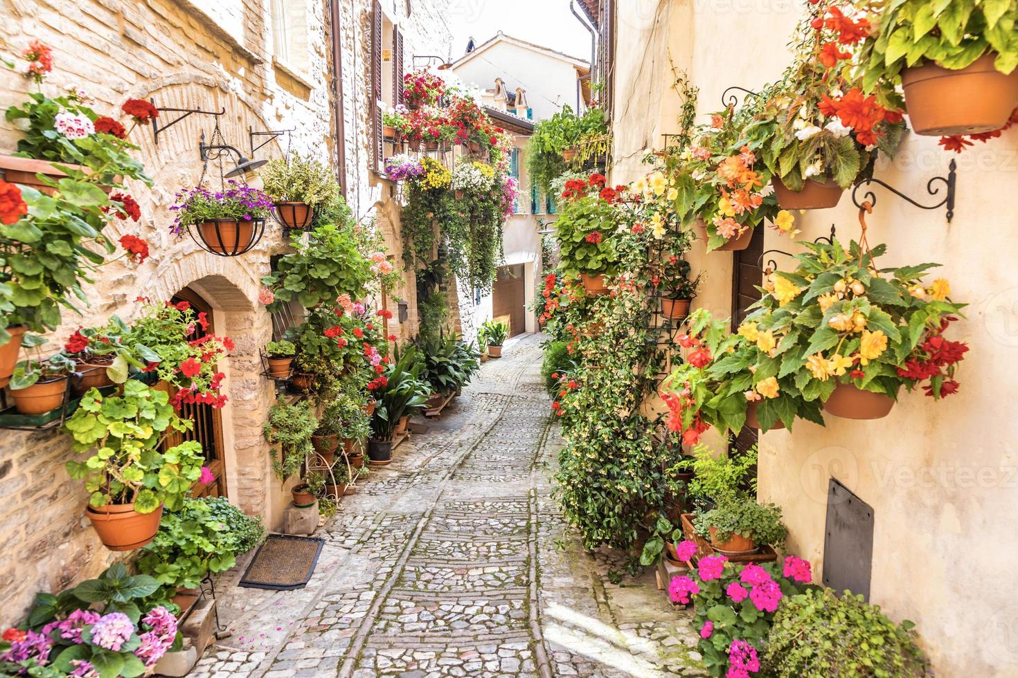 flores na antiga rua localizada na aldeia de spello. região de umbria, itália. foto