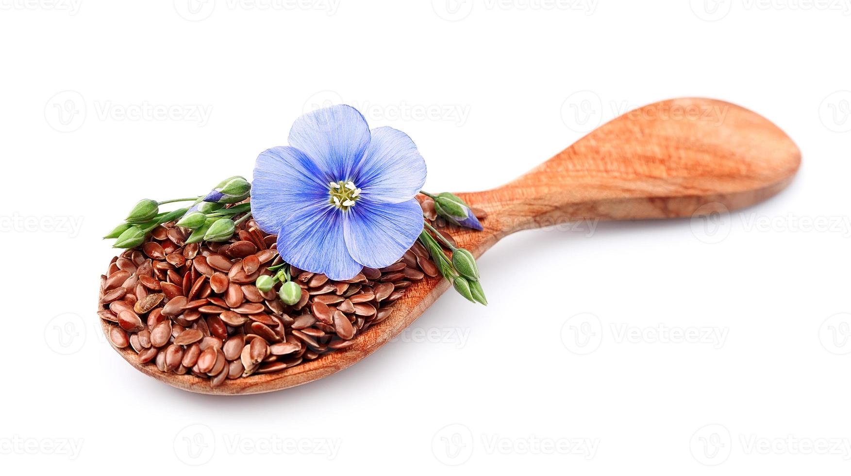 sementes de linho com flores foto