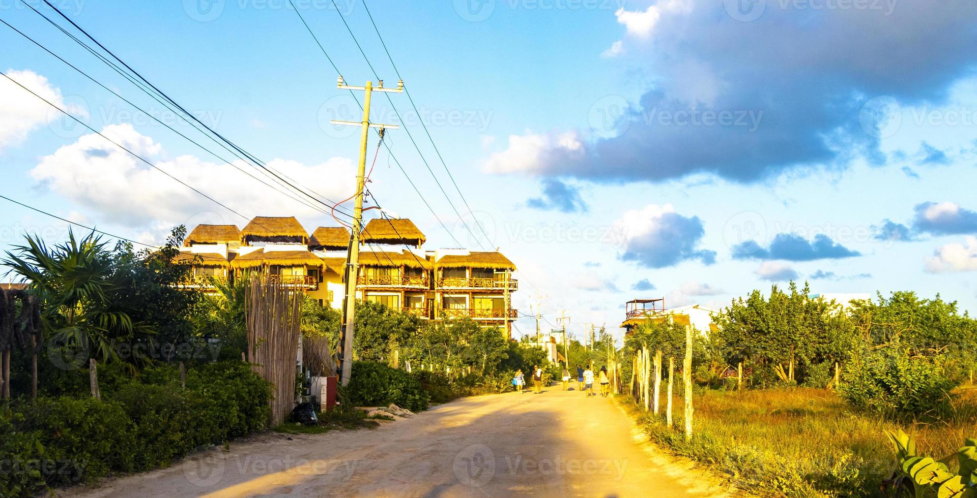 caminho de caminhada da estrada lamacenta arenosa e paisagem da natureza holbox méxico. foto