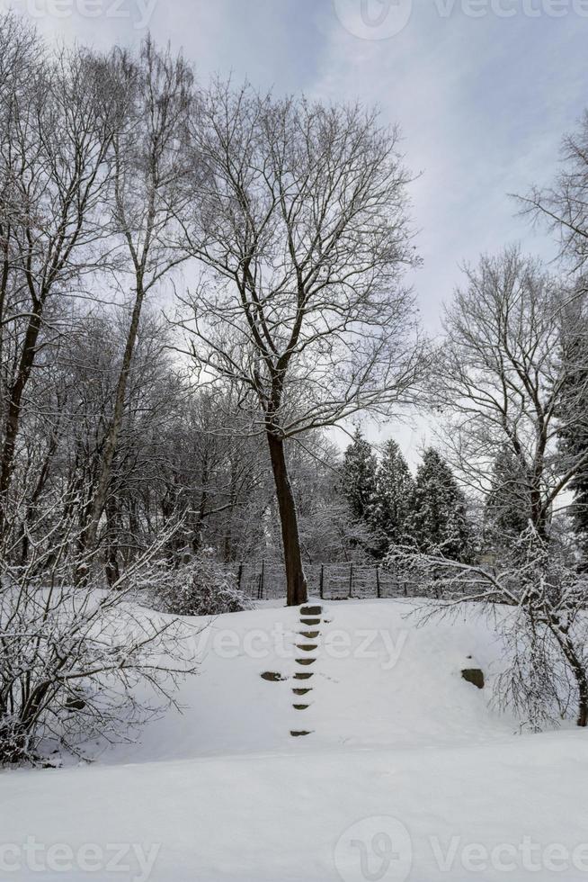 escada na neve em winter park foto