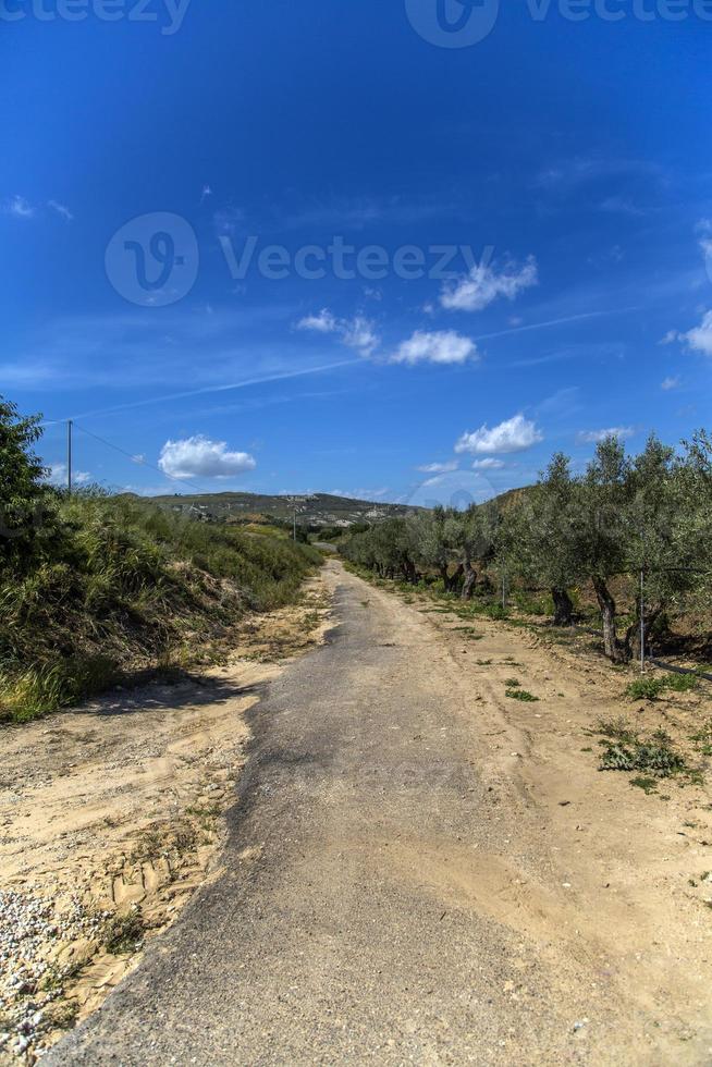 vista na estrada siciliana foto