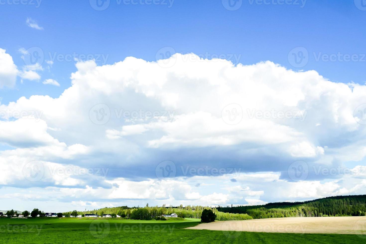 paisagem na suécia, europa foto