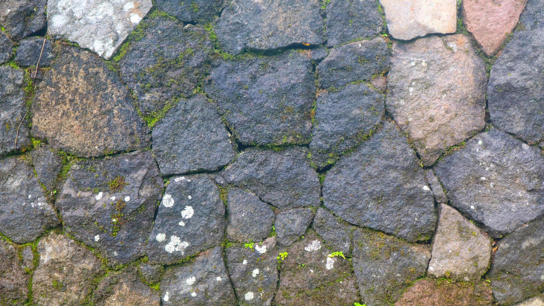 uma parede de pedra musgosa como pano de fundo foto