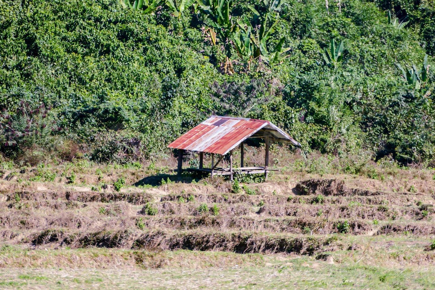 paisagem rural no leste da ásia foto